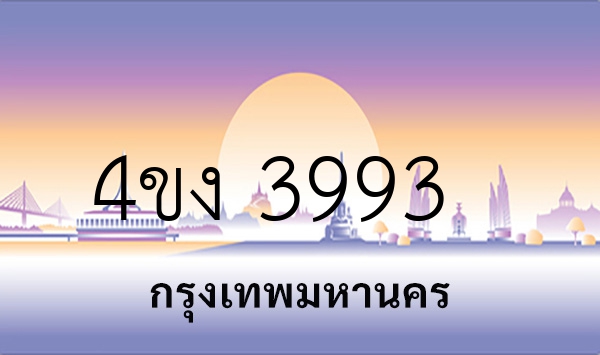 4ขง 3993